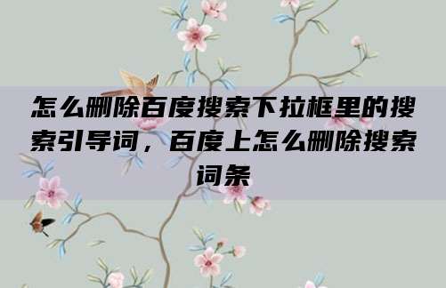 怎么删除百度搜索下拉框里的搜索引导词,百度上怎么删除搜索词条