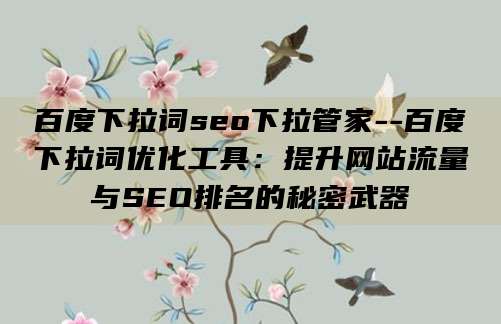百度下拉词seo下拉管家--百度下拉词优化工具:提升网站流量与SEO排名的秘密武器