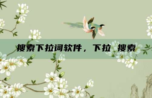 搜索下拉词软件,下拉 搜索