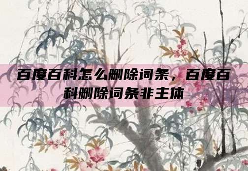 百度百科怎么删除词条,百度百科删除词条非主体