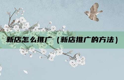 新店怎么推广（新店推广的方法）