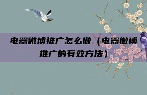 电器微博推广怎么做(电器微博推广的有效方法)