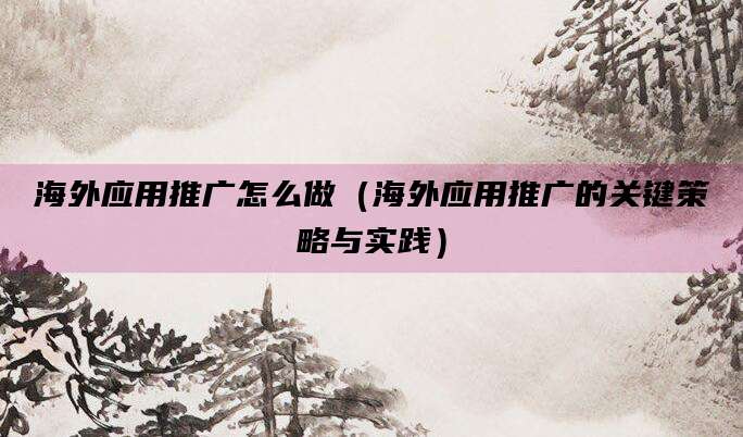 海外应用推广怎么做（海外应用推广的关键策略与实践）