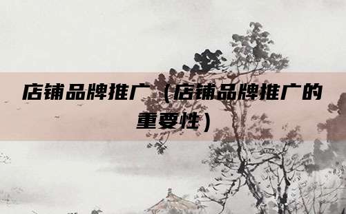 店铺品牌推广(店铺品牌推广的重要性)