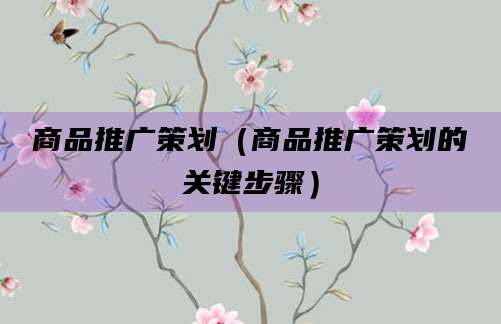 商品推广策划(商品推广策划的关键步骤)