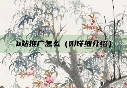 b站推广怎么(附详细介绍)