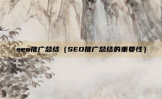 seo推广总结(SEO推广总结的重要性)