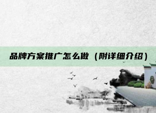 品牌方案推广怎么做（附详细介绍）