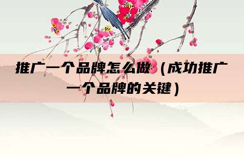 推广一个品牌怎么做（成功推广一个品牌的关键）