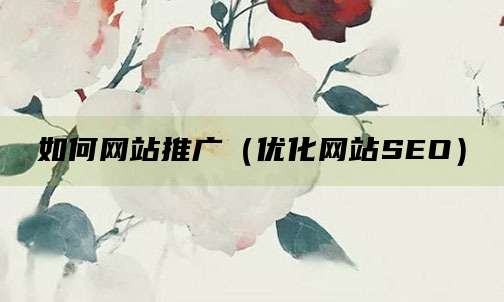 如何网站推广(优化网站SEO)