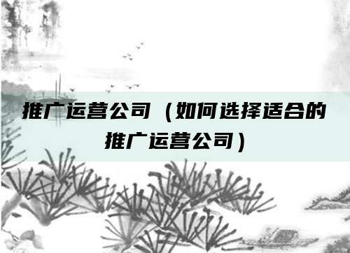 推广运营公司(如何选择适合的推广运营公司)