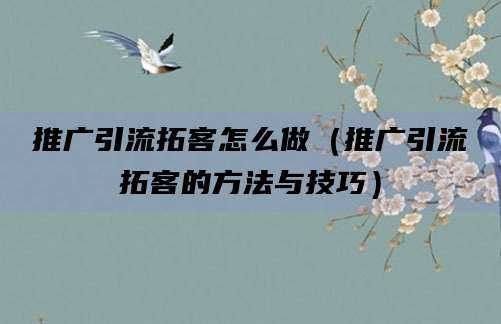 推广引流拓客怎么做(推广引流拓客的方法与技巧)
