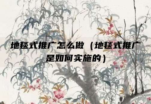 地毯式推广怎么做(地毯式推广是如何实施的)