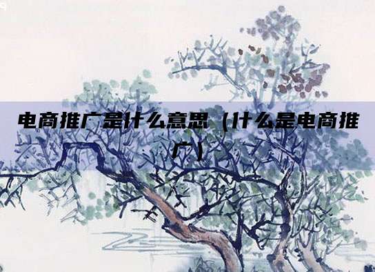 电商推广是什么意思(什么是电商推广)