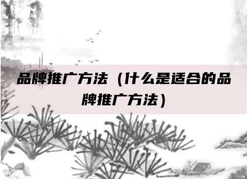 品牌推广方法（什么是适合的品牌推广方法）