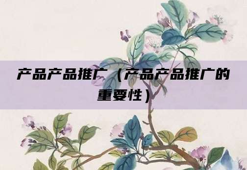 产品产品推广（产品产品推广的重要性）