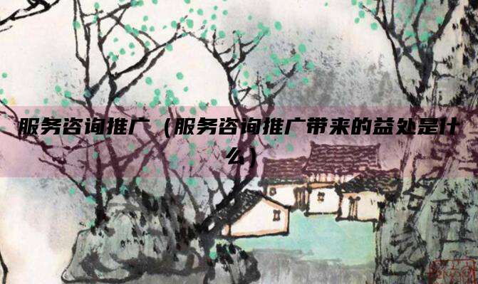 服务咨询推广(服务咨询推广带来的益处是什么)