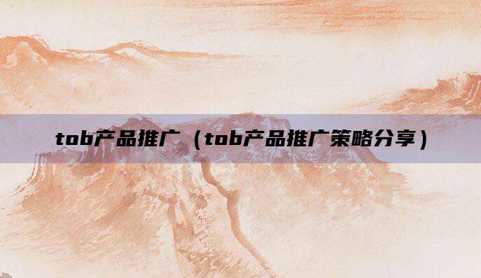 tob产品推广(tob产品推广策略分享)
