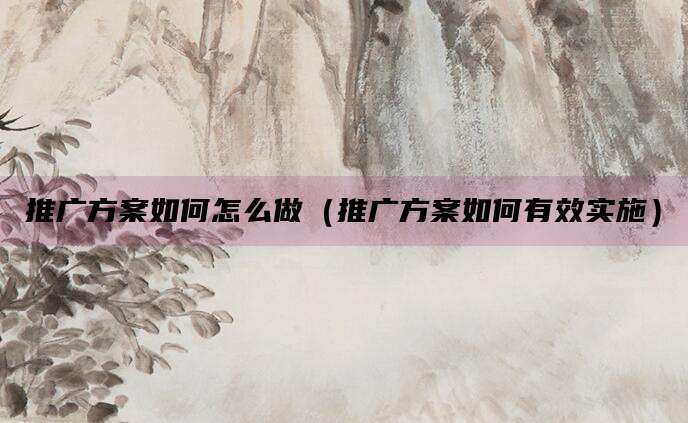 推广方案如何怎么做(推广方案如何有效实施)