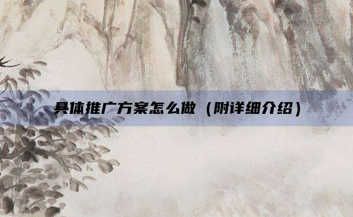 具体推广方案怎么做(附详细介绍)