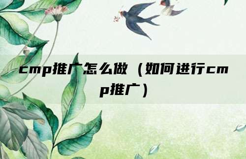 cmp推广怎么做(如何进行cmp推广)
