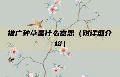推广种草是什么意思(附详细介绍)