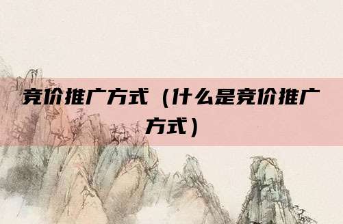 竞价推广方式(什么是竞价推广方式)