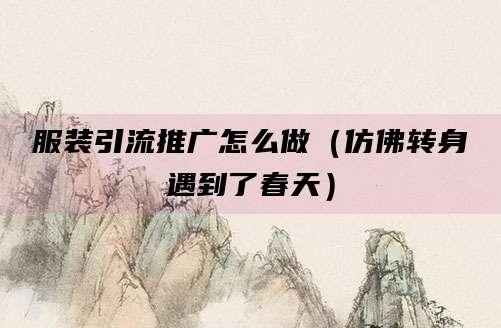 服装引流推广怎么做(仿佛转身遇到了春天)