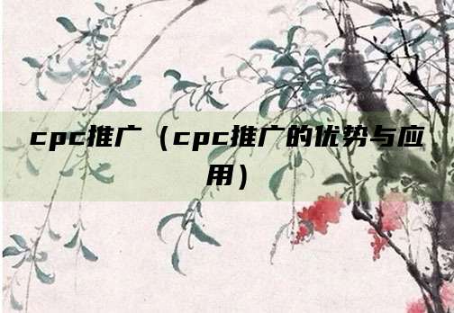cpc推广(cpc推广的优势与应用)