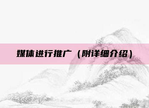 媒体进行推广(附详细介绍)
