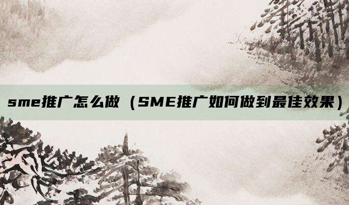 sme推广怎么做(SME推广如何做到最佳效果)