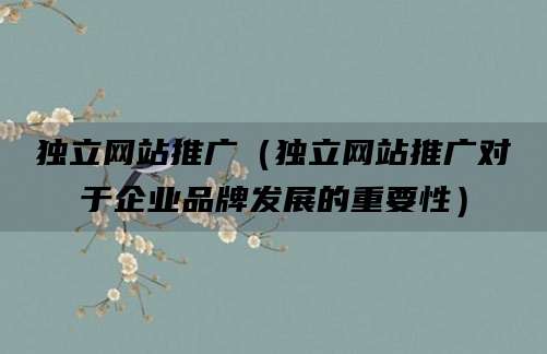 独立网站推广(独立网站推广对于企业品牌发展的重要性)