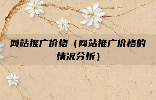 网站推广价格(网站推广价格的情况分析)