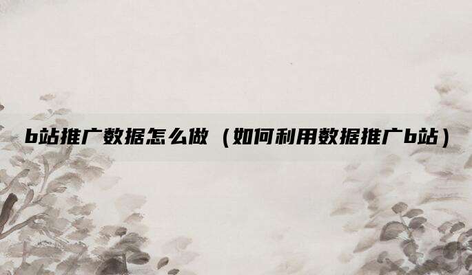 b站推广数据怎么做(如何利用数据推广b站)