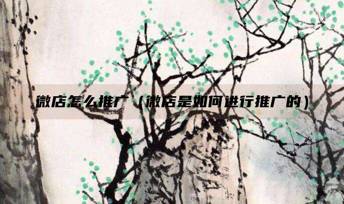 微店怎么推广(微店是如何进行推广的)
