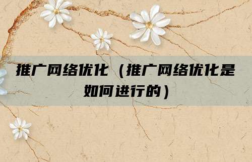 推广网络优化(推广网络优化是如何进行的)
