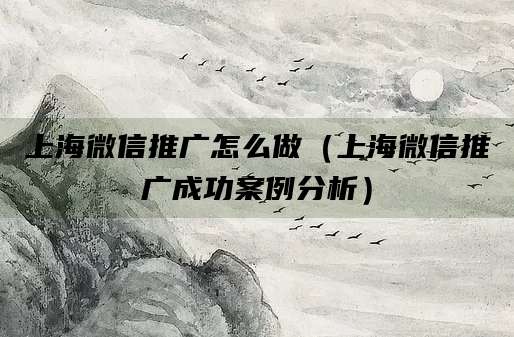 上海微信推广怎么做(上海微信推广成功案例分析)