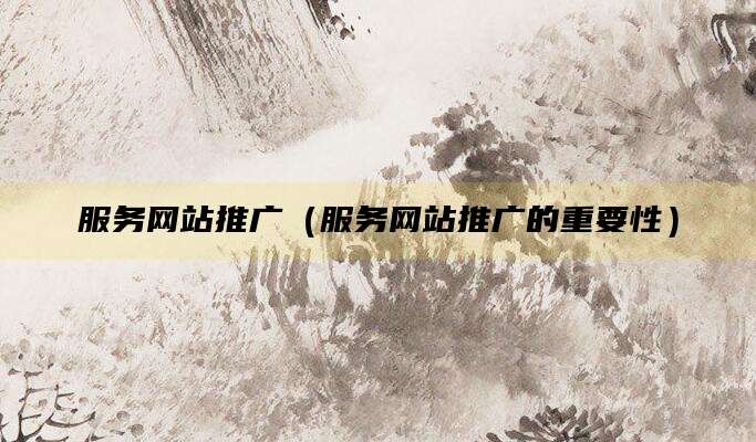 服务网站推广(服务网站推广的重要性)