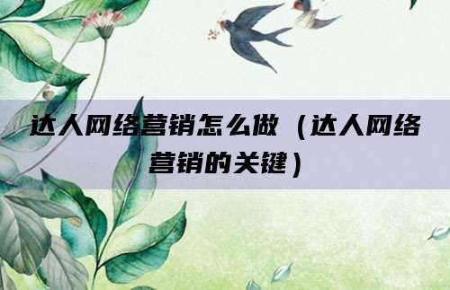 达人网络营销怎么做(达人网络营销的关键)
