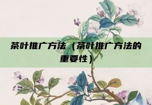 茶叶推广方法(茶叶推广方法的重要性)