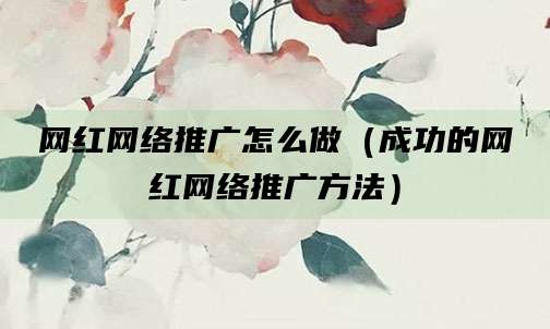网红网络推广怎么做(成功的网红网络推广方法)