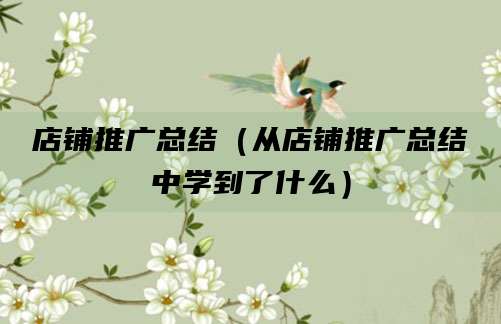 店铺推广总结(从店铺推广总结中学到了什么)