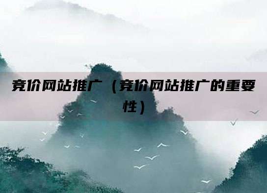 竞价网站推广(竞价网站推广的重要性)