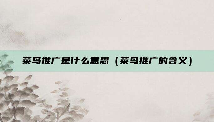 菜鸟推广是什么意思(菜鸟推广的含义)
