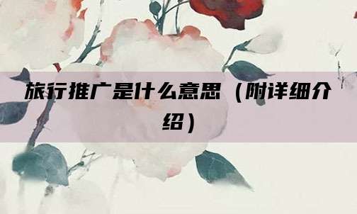 旅行推广是什么意思(附详细介绍)