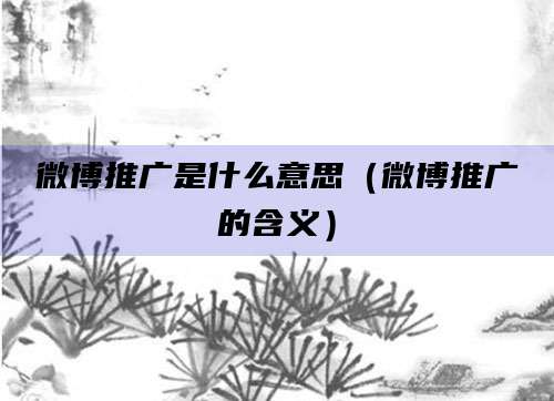 微博推广是什么意思(微博推广的含义)