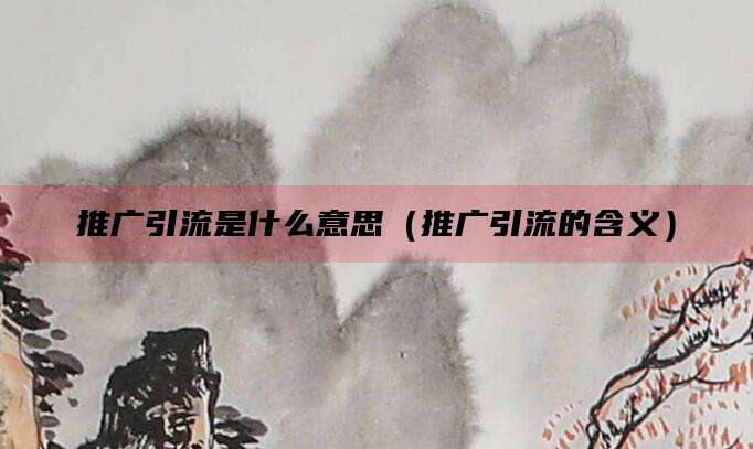 推广引流是什么意思(推广引流的含义)