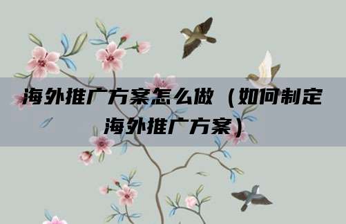 海外推广方案怎么做（如何制定海外推广方案）
