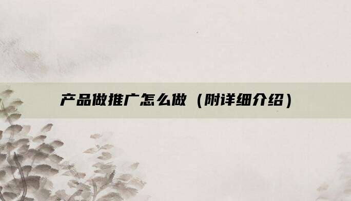 产品做推广怎么做(附详细介绍)