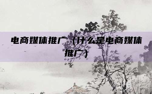 电商媒体推广(什么是电商媒体推广)